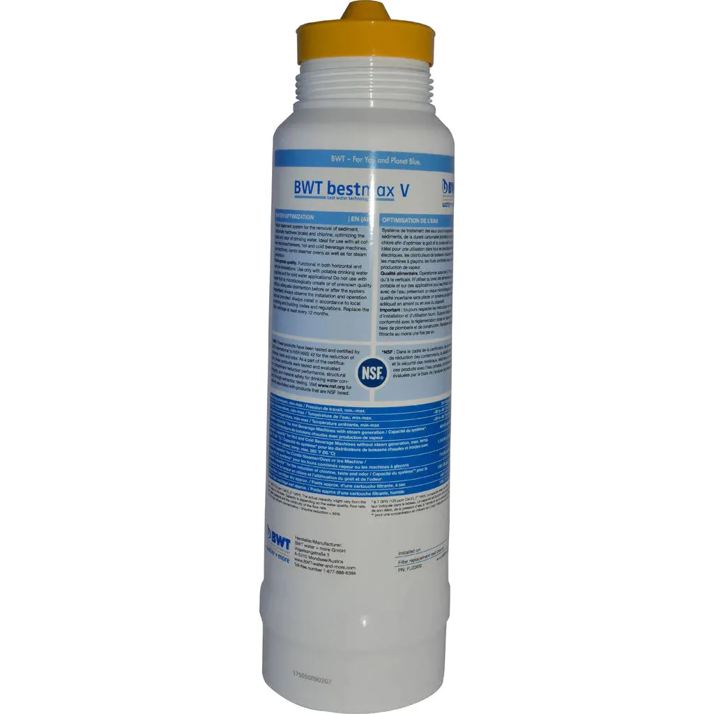 BWT Bestmax Deluxe Mini Kit Premium Filter Plumed save $25.00.