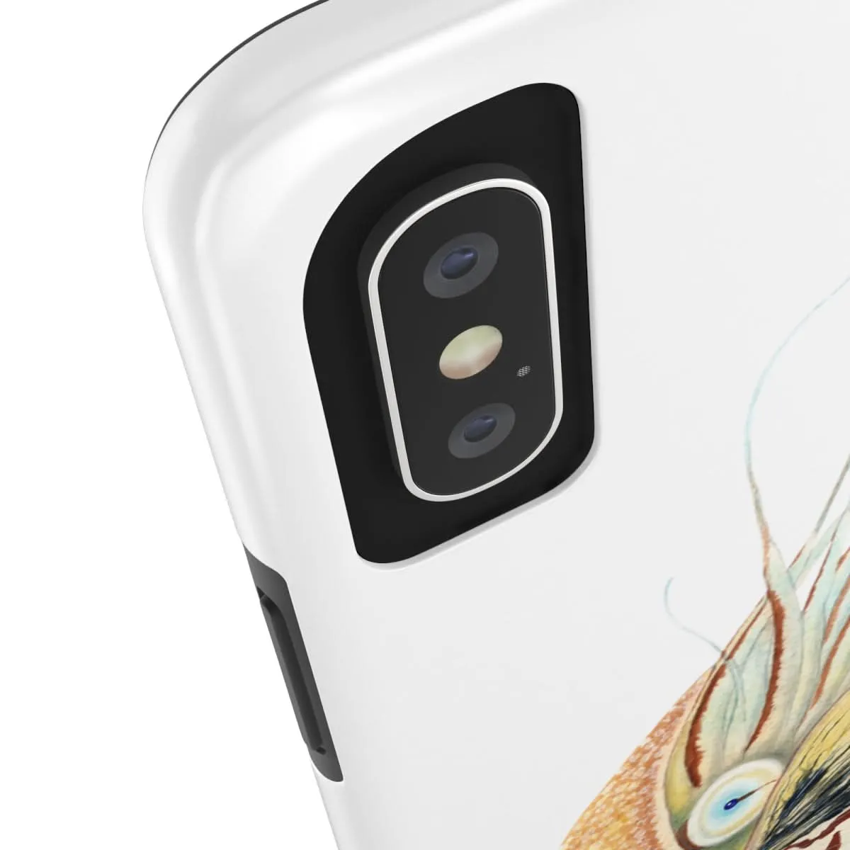 Chambered Nautilus Phone Case (iPhone)