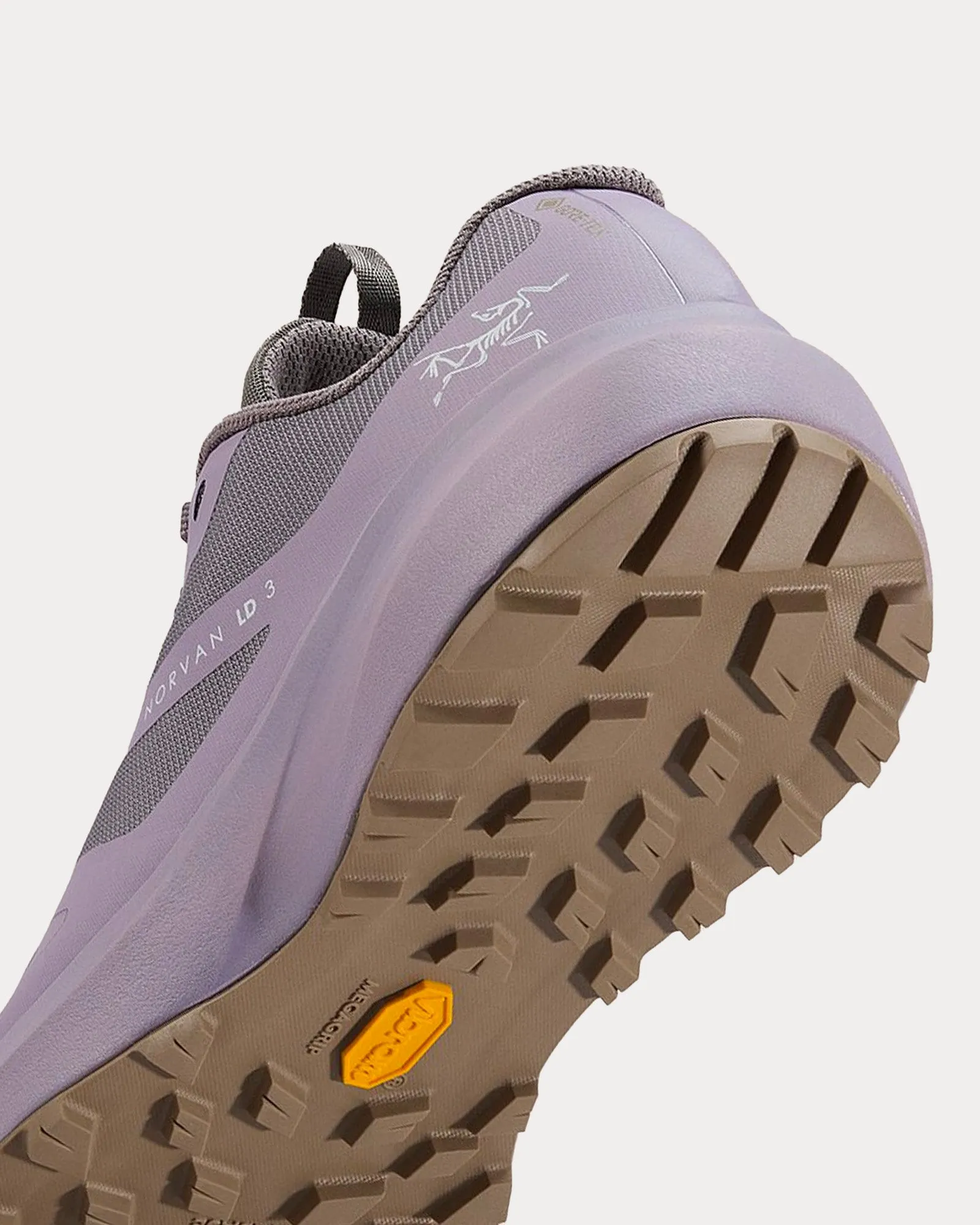 Norvan LD 3 GTX Void / Velocity Running Shoes